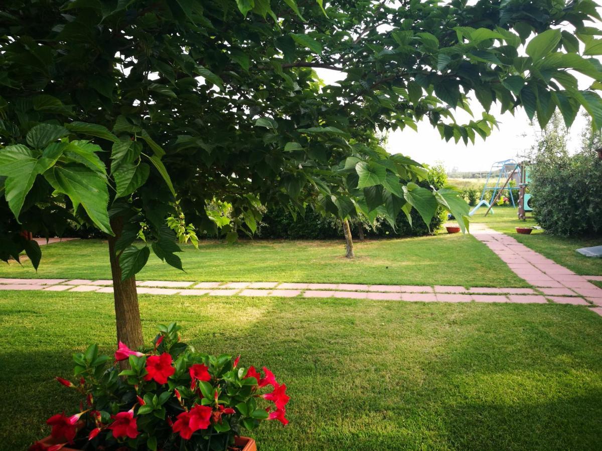 Agriturismo Alturetta Riotorto Εξωτερικό φωτογραφία
